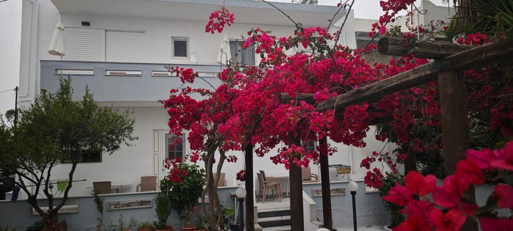 Agrellis Apartments Kos Town Exterior photo